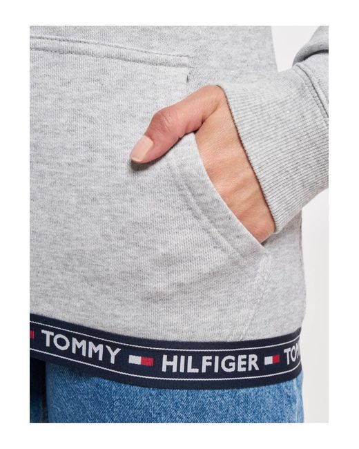 Tommy Hilfiger Blue Tommy jeans hwk w hilfiger hoodie