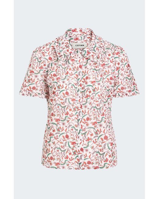 Cefinn White Kitty Blouse