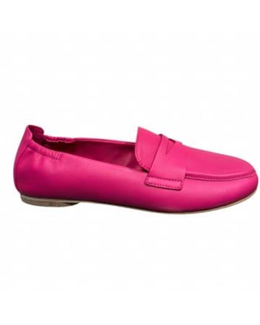 Kennel And Schmenger Kingfisher Loafer 1 di Kennel & Schmenger in Pink
