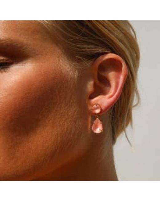 Caroline Svedbom Pink Mini Drop Earrings