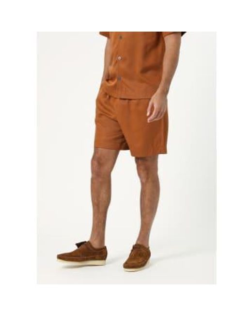 CHE Brown S Shorts for men