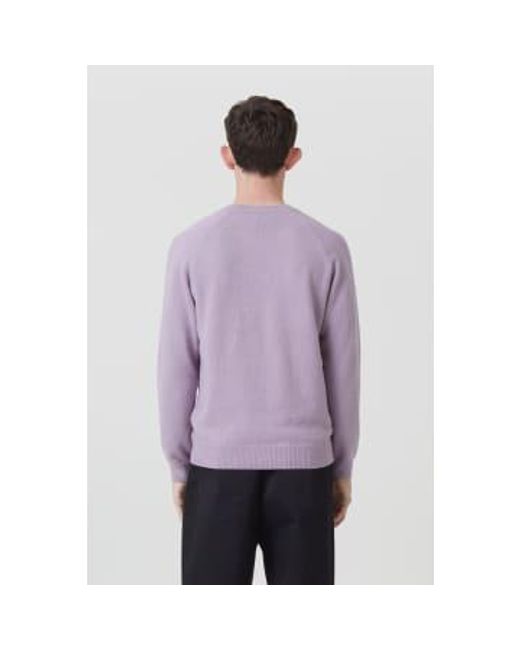 Closed Purple - Pull Coton - Dusty - M for men