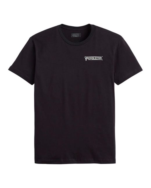 Pendleton Synthetic Diamond Stripes 