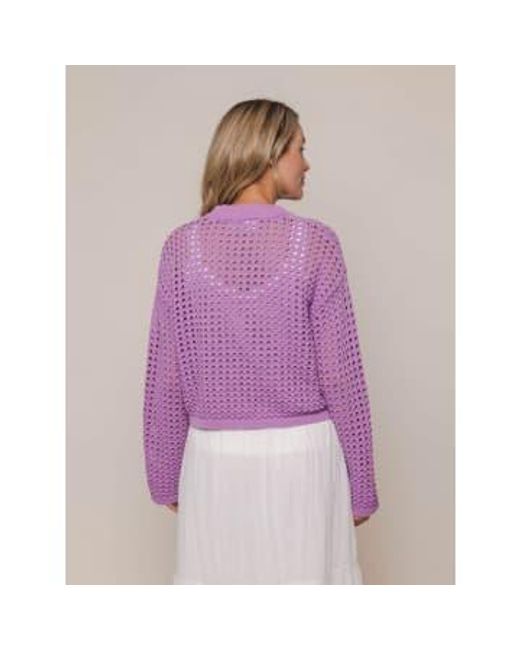 Rino & Pelle Purple Bailey Perforated Cropped Jumper Dahlia Uk 6