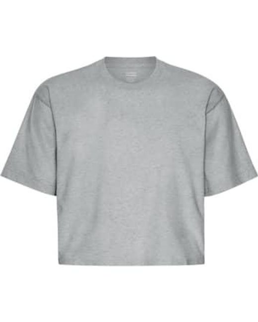 Heather Organic Boxy Crop T Shirt di COLORFUL STANDARD in Gray