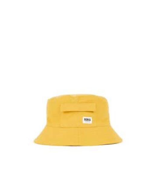 Roka Yellow Hat Corn