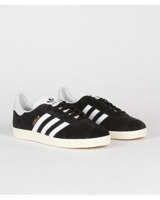 gazelle og dames abrikoos