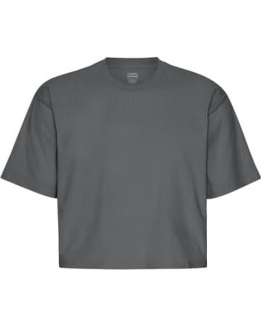 COLORFUL STANDARD Gray Lava Organic Boxy Crop T-shirt Xs for men