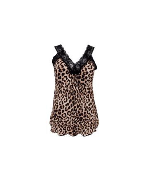 Bc bea lace top leopard leopard Black Colour de color Brown
