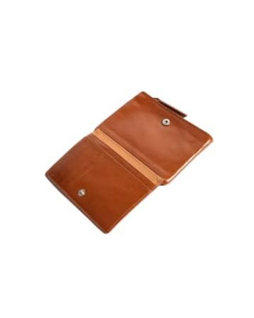 Nat & Nin Brown Wallet Soly Leather