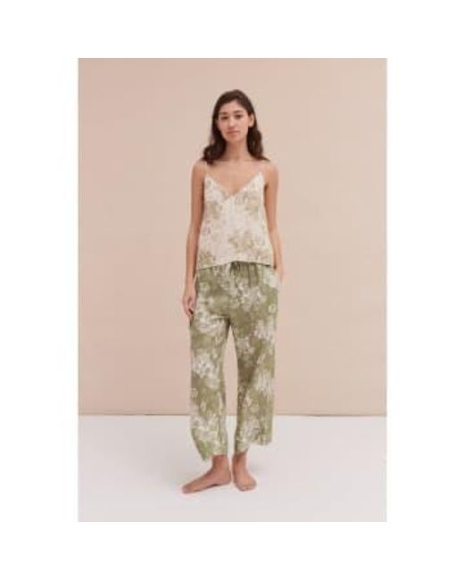 Desmond & Dempsey Natural Flowers Of Time Cami Trouser Set