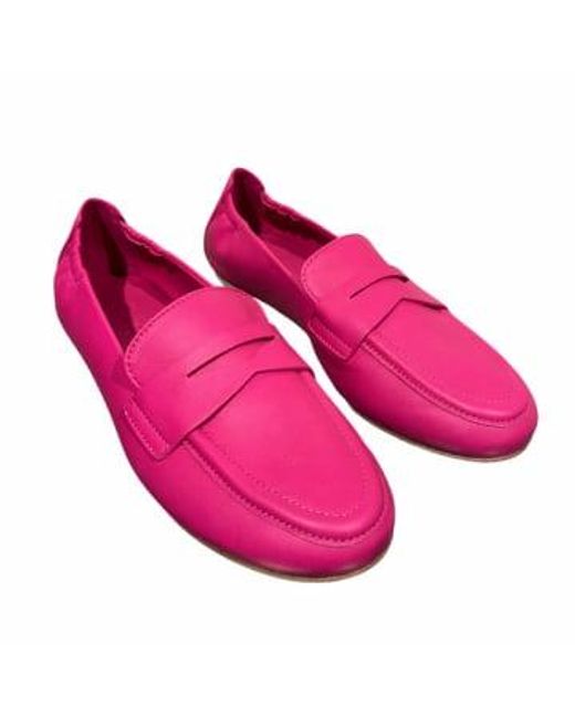 Kennel And Schmenger Kingfisher Loafer 1 di Kennel & Schmenger in Pink