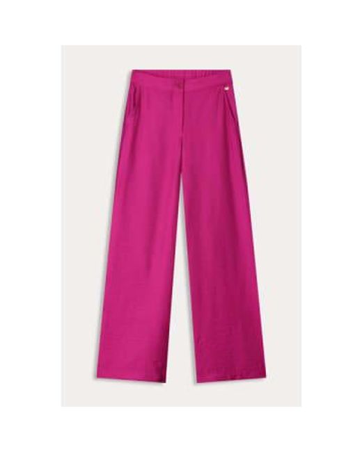 Pom Pink Pants 34