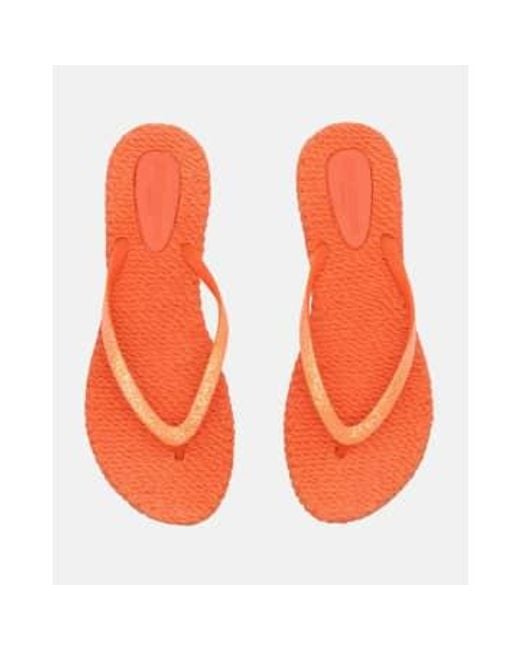 Ilse Jacobsen Orange Glitter Flip Flops Hot 37
