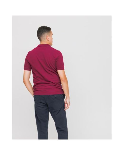 fred perry or lacoste