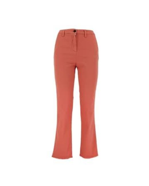 White Sand Red Ava Cotton Coral Pants 38