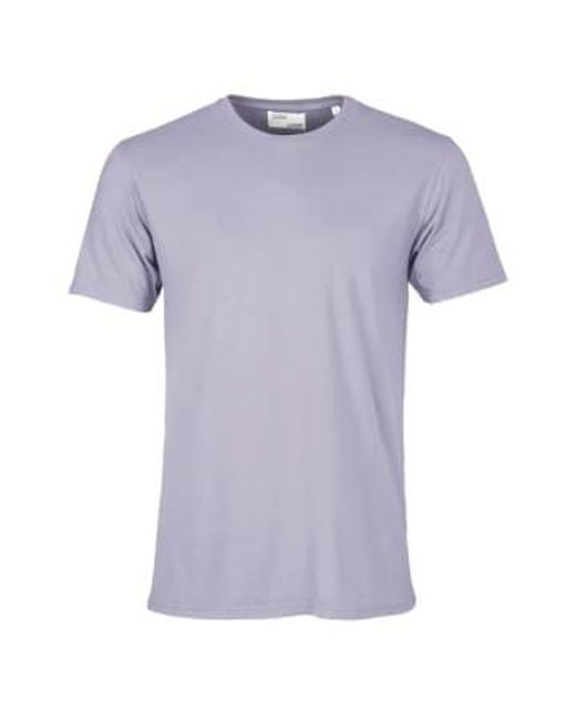 COLORFUL STANDARD Purple Classic Organic T-shirt Jade / M for men