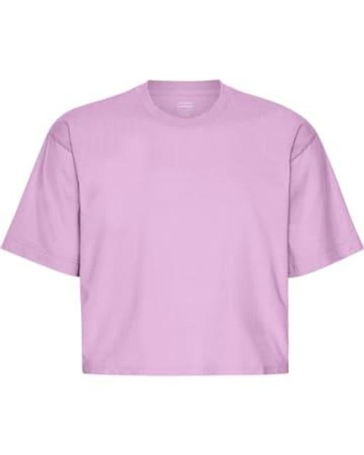 COLORFUL STANDARD Purple Cherry Blossom Organic Boxy Crop T-shirt Xs