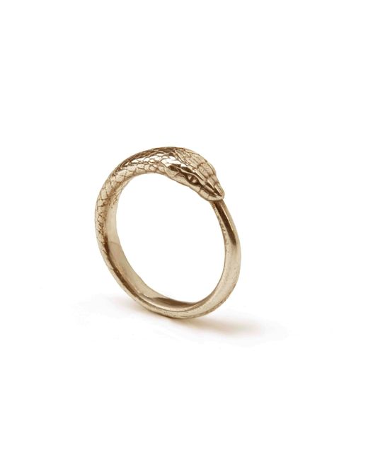 Rachel Entwistle Metallic Ouroboros Snake Ring Large