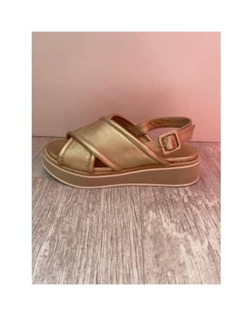 Sandales croisées en cuir dorées DONNA LEI en coloris Brown
