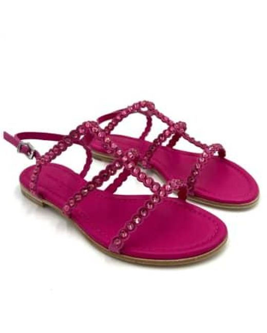 Kennel & Schmenger Purple 'mahi' Sandals 4