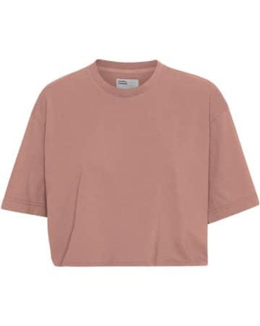COLORFUL STANDARD Pink Rosewood Nebel Bio-Kastenkruppt-Shirt