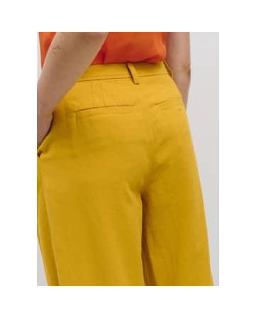Pantalon Matt Idano en coloris Yellow