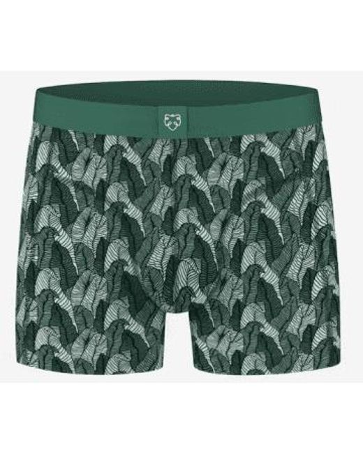 Adam Lippes Green Boxer Briefs Palm Leaves Organic Cotton for men