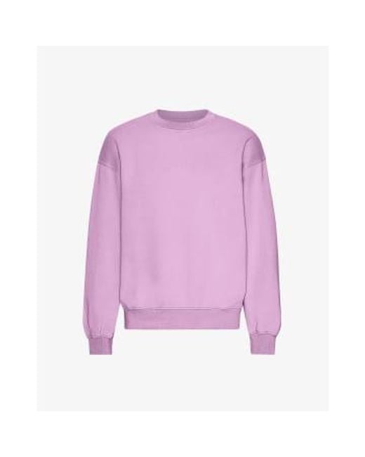 COLORFUL STANDARD Purple Cherry Blossom Organic Cotton Crew Neck Sweatshirt S for men