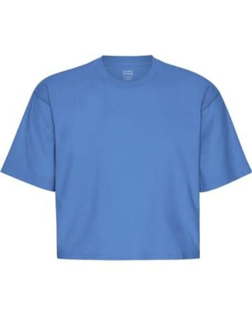 COLORFUL STANDARD Blue Sky Organic Boxy Crop T-shirt Xs