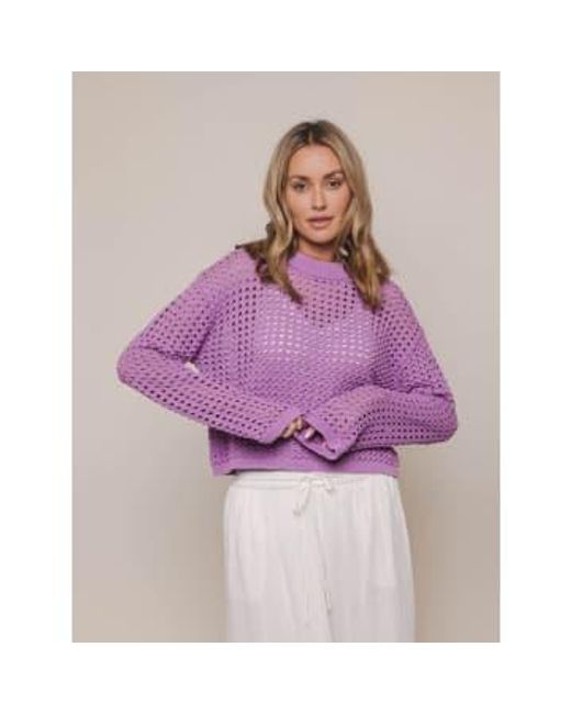 Rino & Pelle Purple Bailey Perforated Cropped Jumper Dahlia Uk 6