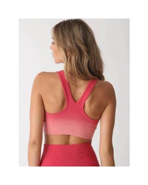 Electric and Rose Pink And Allegra Sports Bra L
