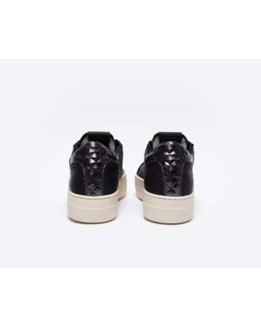 P448 Black Thea Cheope Platform Trainer Size 3 / 36