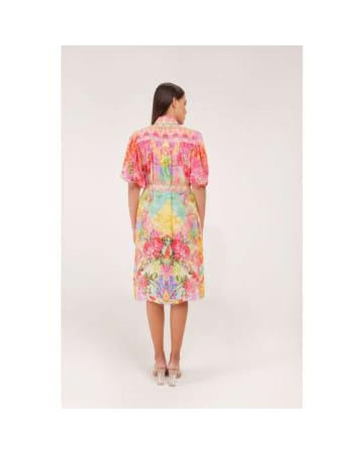 Inoa Pink Pansy Siena Print Embellished Midi Dress Col: Bright Multi L