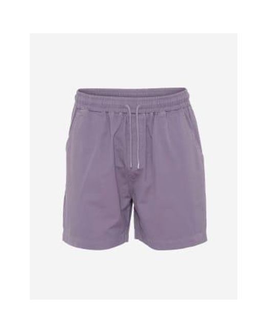 Pantalones cortos sarga algodón orgánico neblina púrpura COLORFUL STANDARD de hombre de color Purple