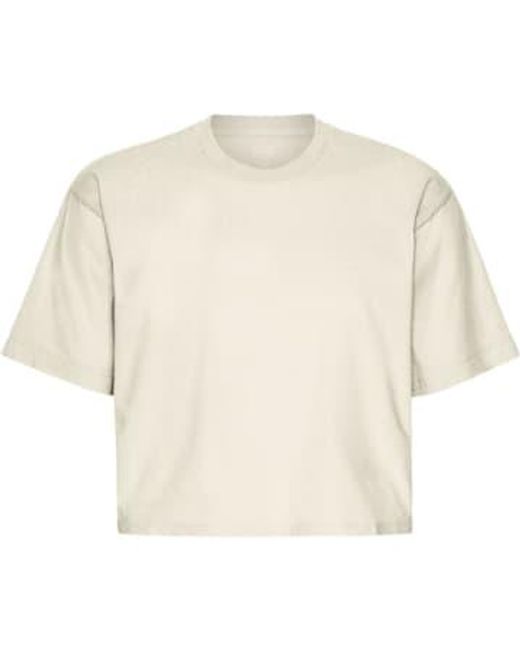 COLORFUL STANDARD White Ivory Organic Boxy Crop T-shirt Xs