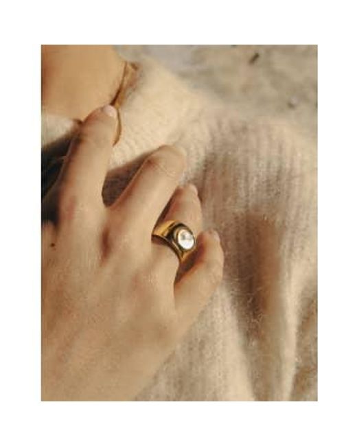 Nordic Muse Brown Shell Band Ring, Waterproof L