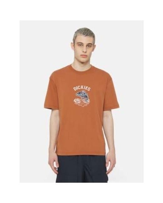 Camiseta gráfica dumfries en marrón claro Dickies de hombre de color Brown