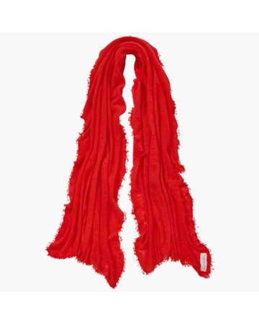 PUR SCHOEN Red Hand Felted Cashmere Soft Scarf Chili + Gift Wool