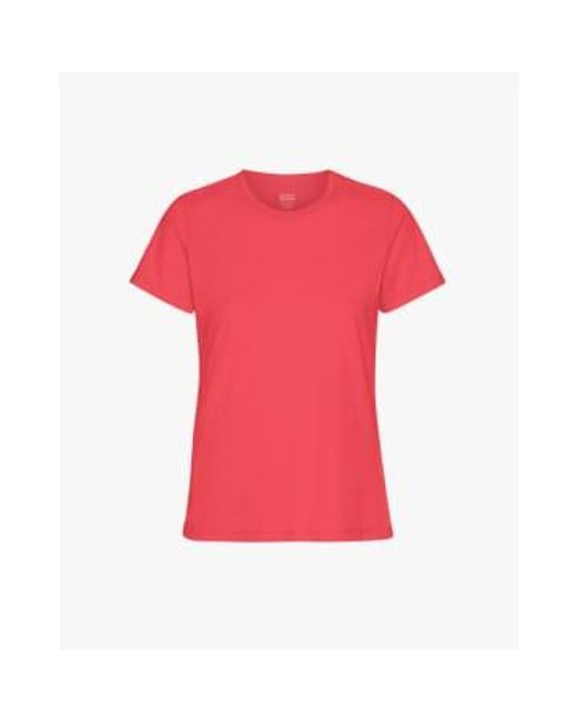 T-shirt organique léger COLORFUL STANDARD en coloris Pink