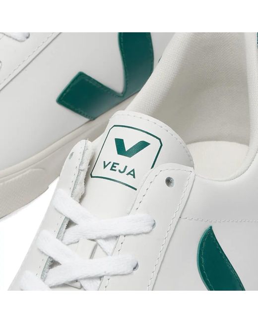veja cleaning