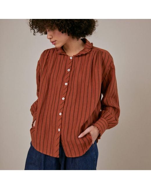 SIDELINE Brown Willow Shirt Rust Stripe