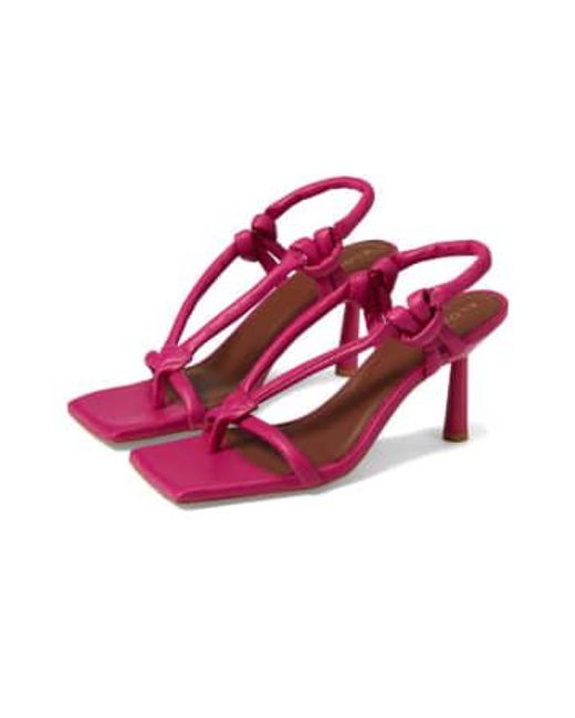 alohas pink sandals