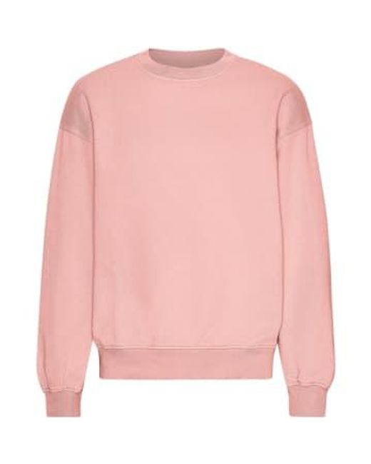COLORFUL STANDARD Pink Bright Coral Organic Oversized Crew Jumper Xs for men