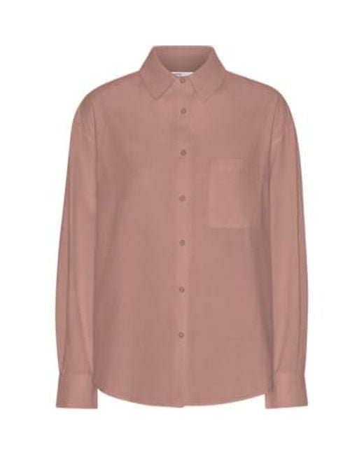 COLORFUL STANDARD Pink Rosewood Mist Organic Oversized Shirt M for men