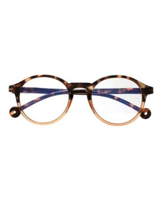 Parafina Blue Eco-friendly Reading Glasses- Volga Tortoise Demi for men