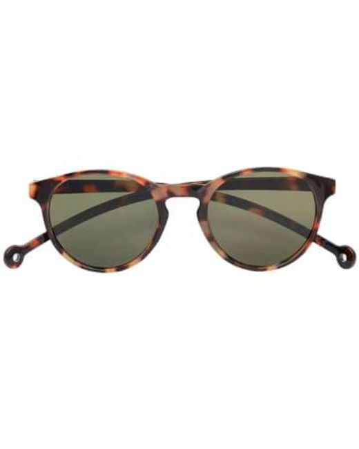 Parafina Brown Eco Friendly Sunglasses Isla Tortoise 100% Recycled Pet