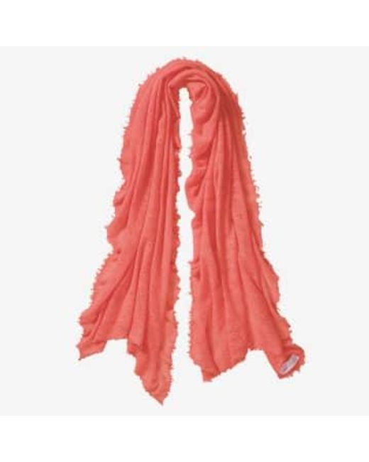 Hand Felted Cashmere Soft Scarf Lobster Hummer Gift di PUR SCHOEN in Red
