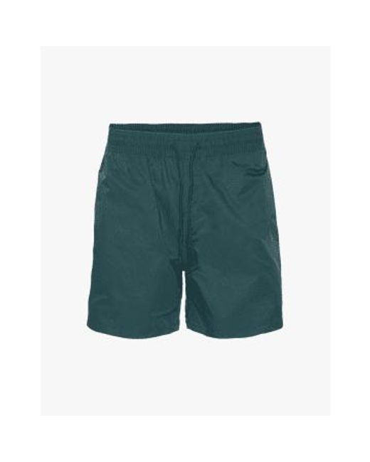 Cs3010 clásicos pantalones cortos natación ocean COLORFUL STANDARD de hombre de color Green