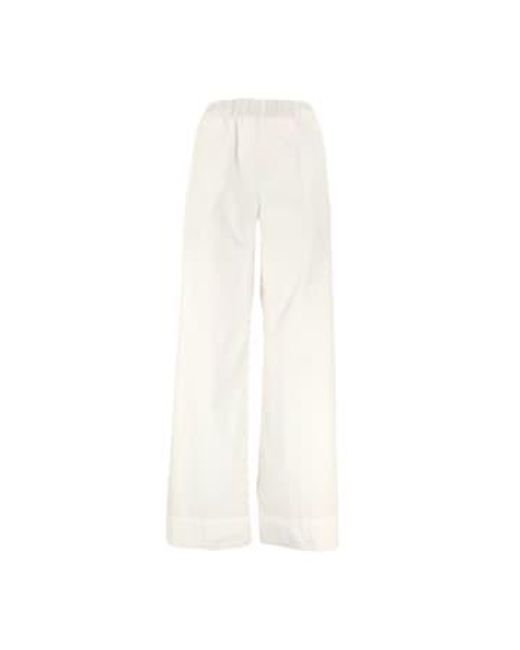 Pantaloni Pensil Supima Donna Ivory TRUE NYC en coloris White